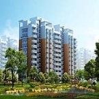 亞星房地產(chǎn)開(kāi)發(fā)公司-亞星房地產(chǎn)開(kāi)發(fā)公司鄭州分公司