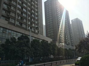 鄭州未來國際項目綜合分析 優勢、不足及周邊房產中介評價